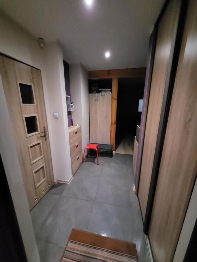 Zaciszny Dom Z Plaza Nad Jeziorem Chancza Βίλα Rakow  Εξωτερικό φωτογραφία